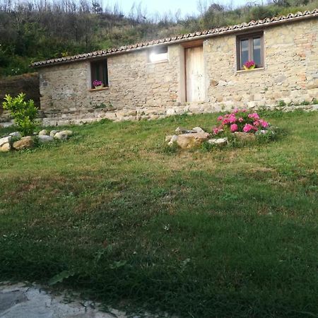 Il Cerro Agriturismo Zagarese Fuscaldo Bagian luar foto