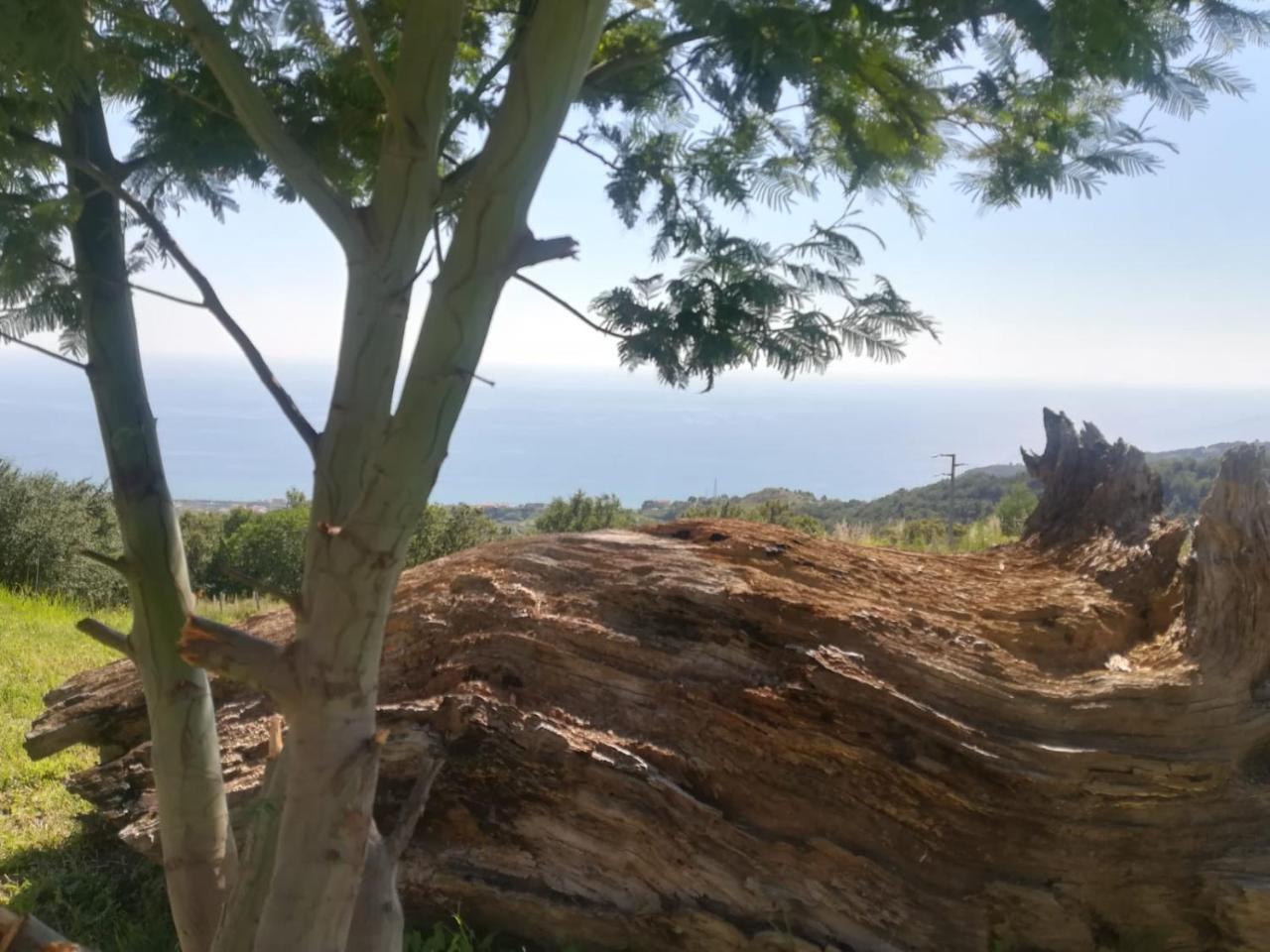 Il Cerro Agriturismo Zagarese Fuscaldo Bagian luar foto